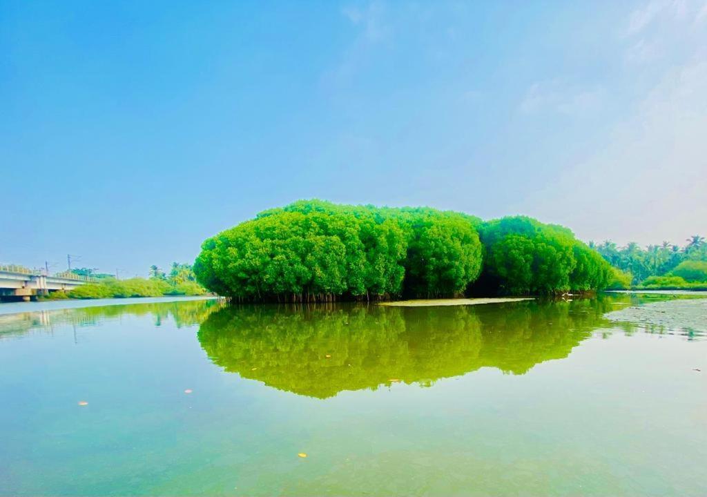 Green Island Homestay Riverside Kóžikkót Exteriér fotografie